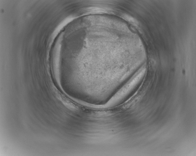 X0000069841427200606021350