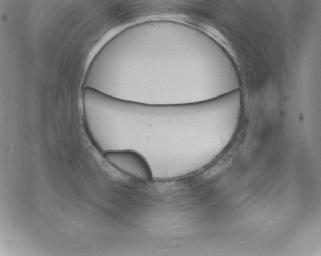 X0000069841428200606021350