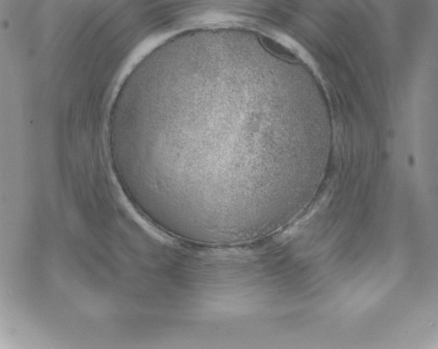 X0000069841429200606021350