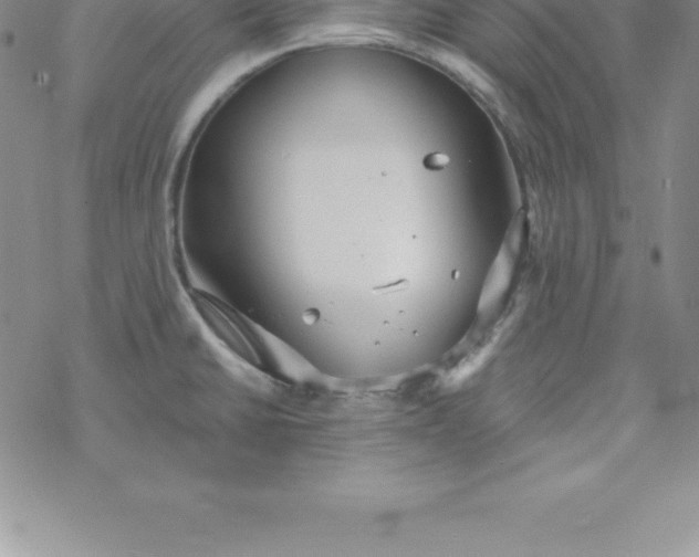 X0000069841430200606021350