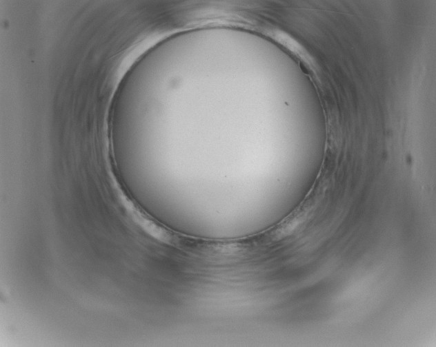 X0000069841431200606021350