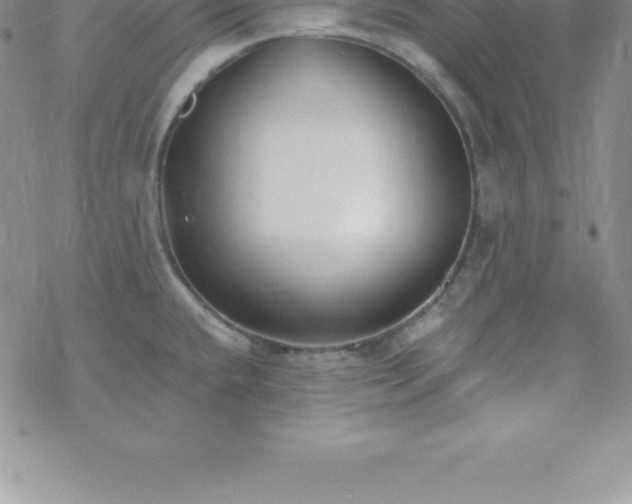 X0000069841432200606021350