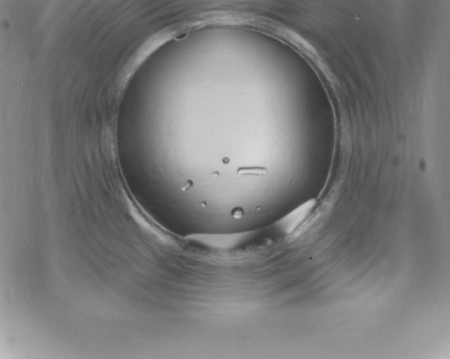 X0000069841433200606021350