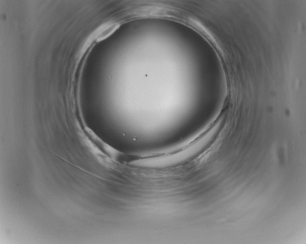 X0000069841434200606021350