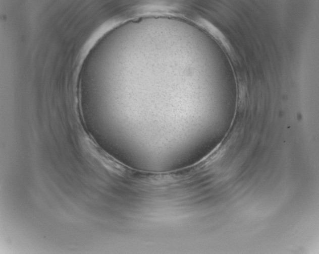 X0000069841435200606021350