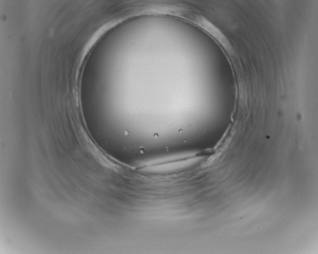 X0000069841436200606021350