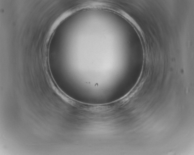 X0000069841437200606021350