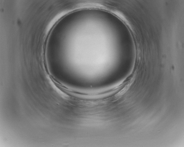 X0000069841438200606021350