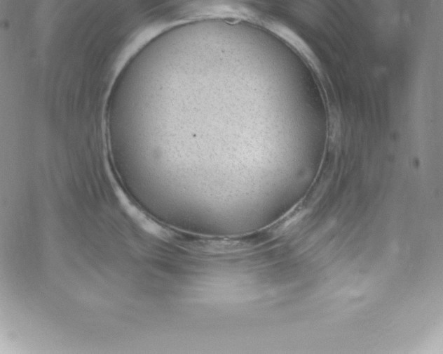 X0000069841439200606021350