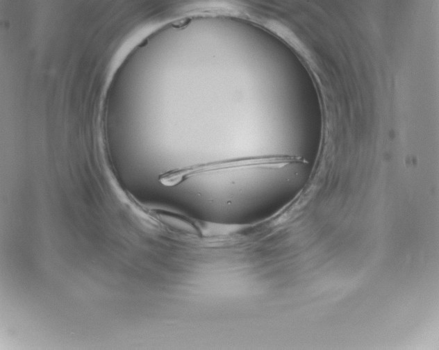 X0000069841440200606021350