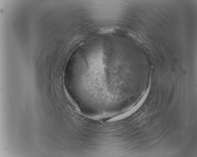 X0000069841441200606021349