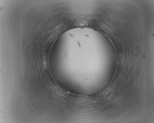 X0000069841442200606021349