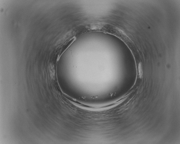 X0000069841443200606021349