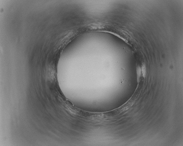 X0000069841444200606021349