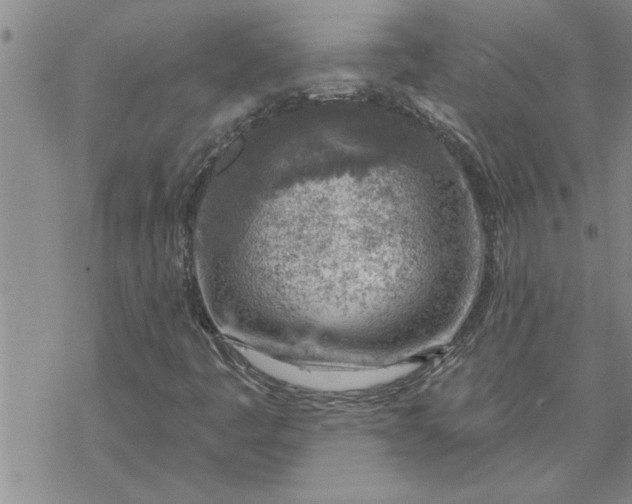 X0000069841445200606021349