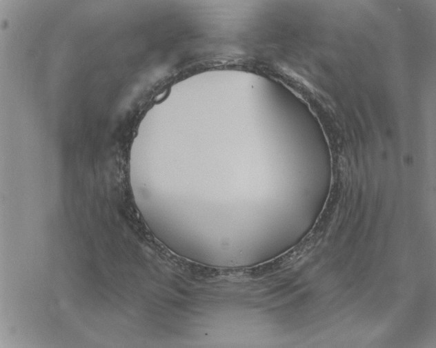 X0000069841447200606021349