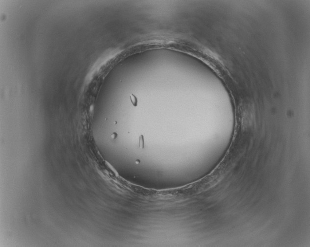 X0000069841448200606021349