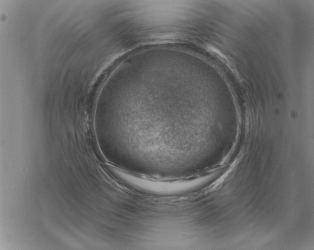 X0000069841449200606021349