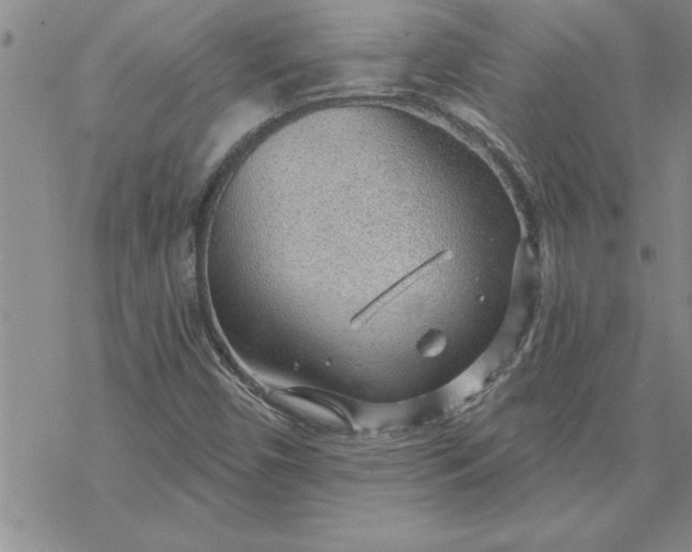 X0000069841450200606021349