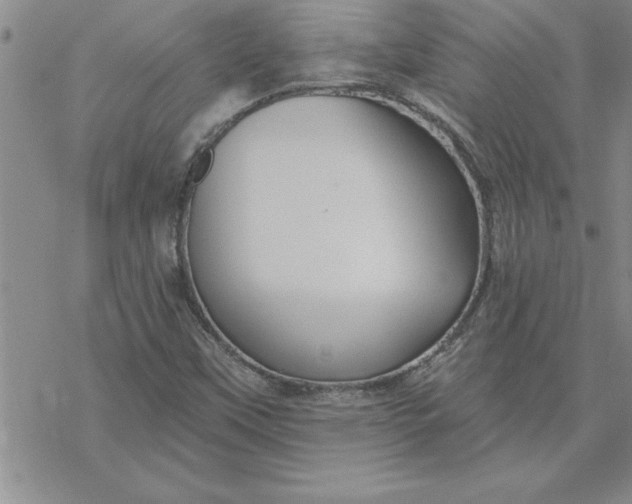 X0000069841451200606021349