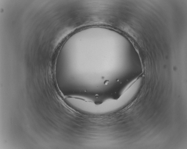 X0000069841452200606021349