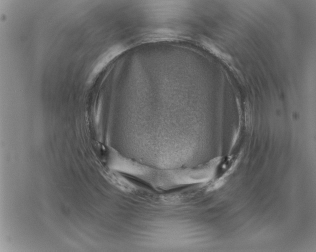 X0000069841453200606021349