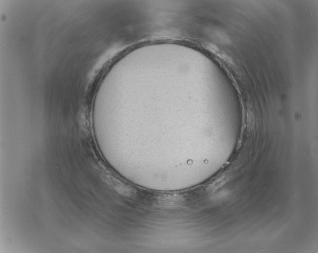 X0000069841454200606021349