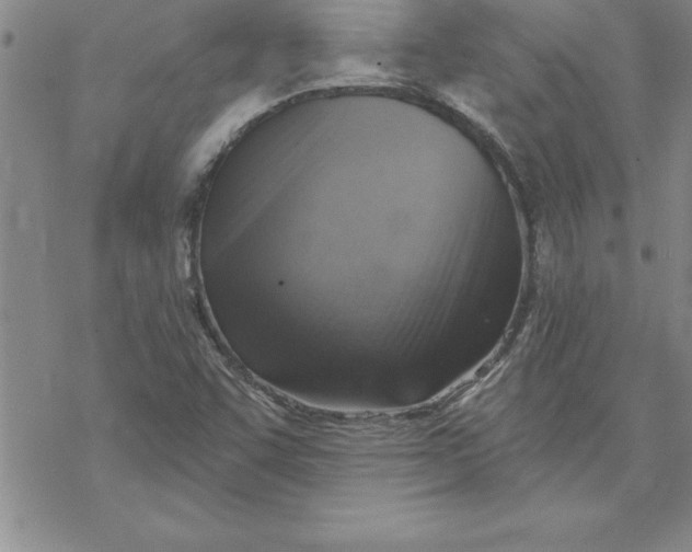 X0000069841455200606021349