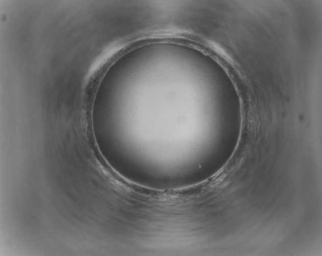 X0000069841456200606021349