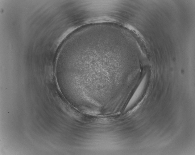 X0000069841457200606021349