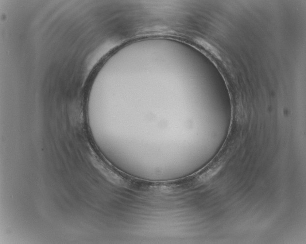 X0000069841458200606021349