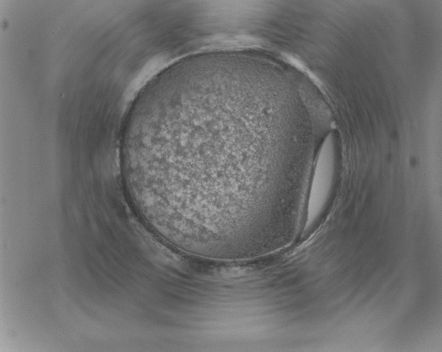 X0000069841459200606021349