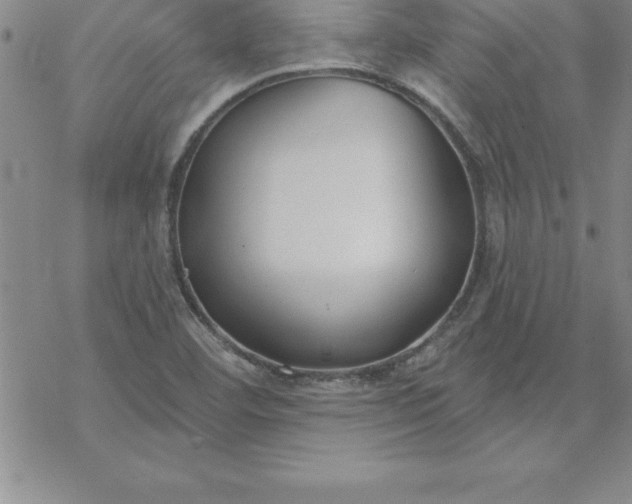 X0000069841460200606021349