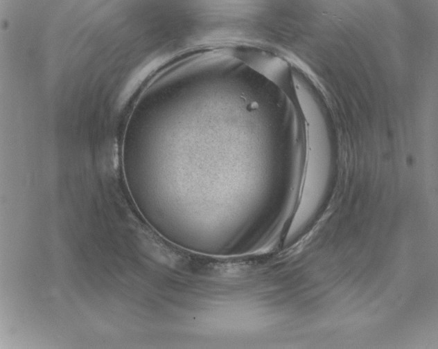 X0000069841461200606021349