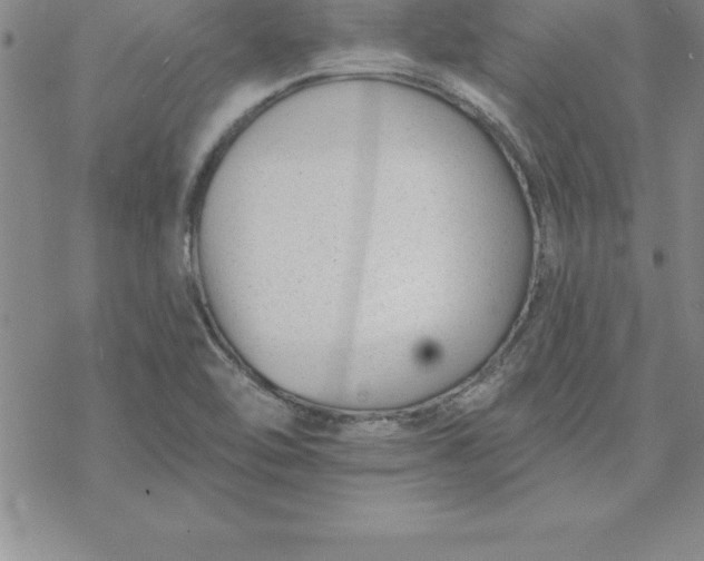 X0000069841462200606021349