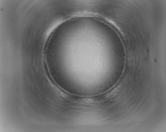 X0000069841463200606021349