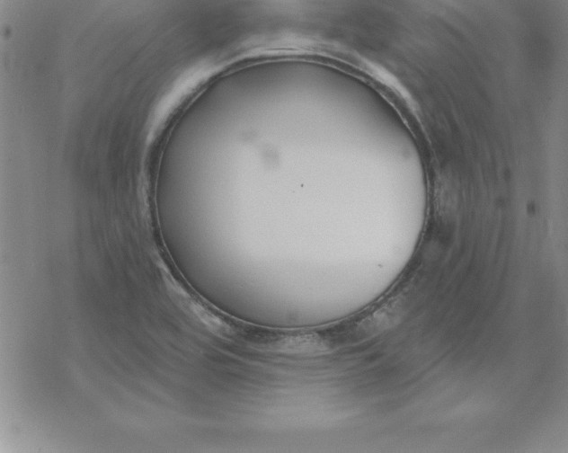 X0000069841464200606021349