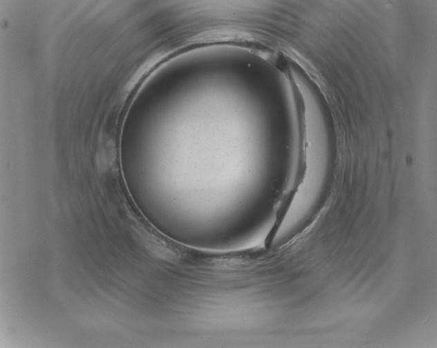 X0000069841465200606021349