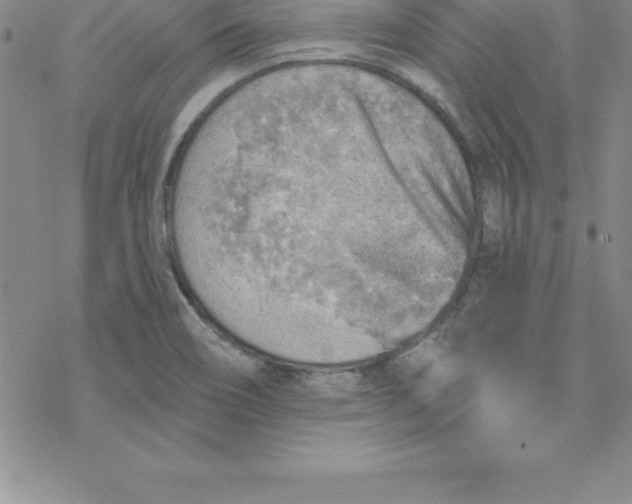 X0000069841466200606021349