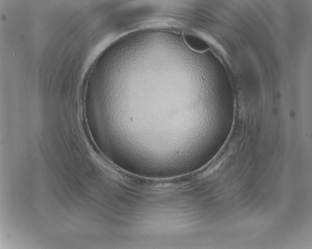 X0000069841467200606021349