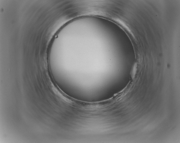 X0000069841468200606021349