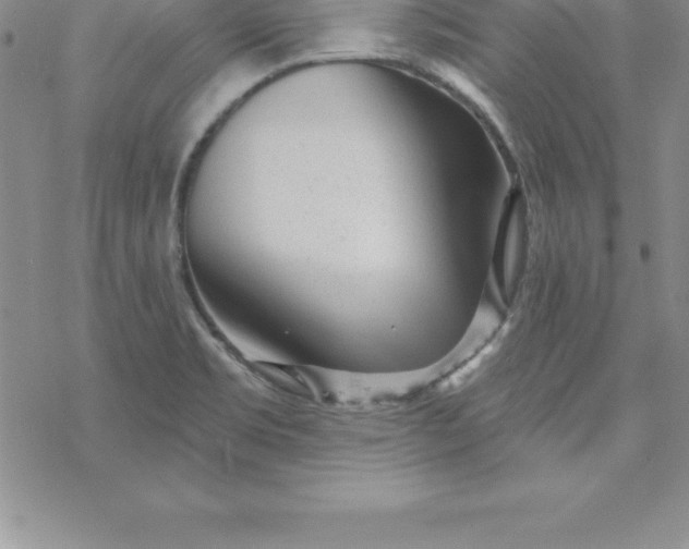 X0000069841469200606021349