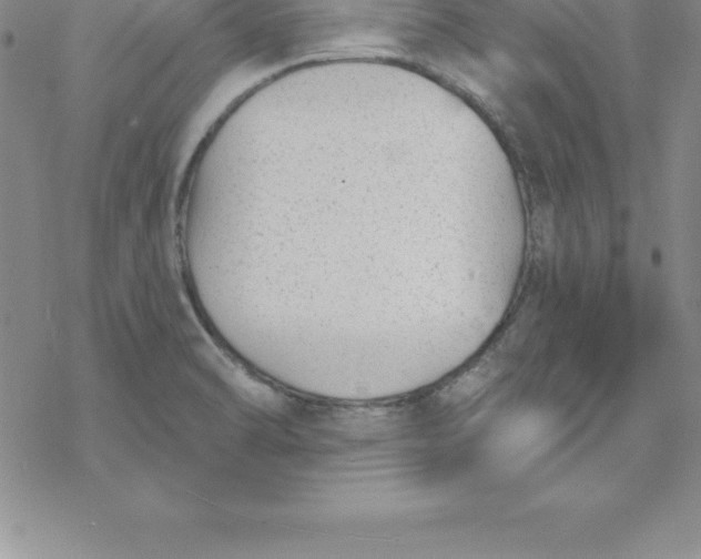 X0000069841470200606021349