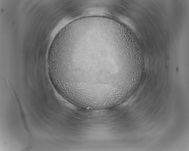 X0000069841471200606021349