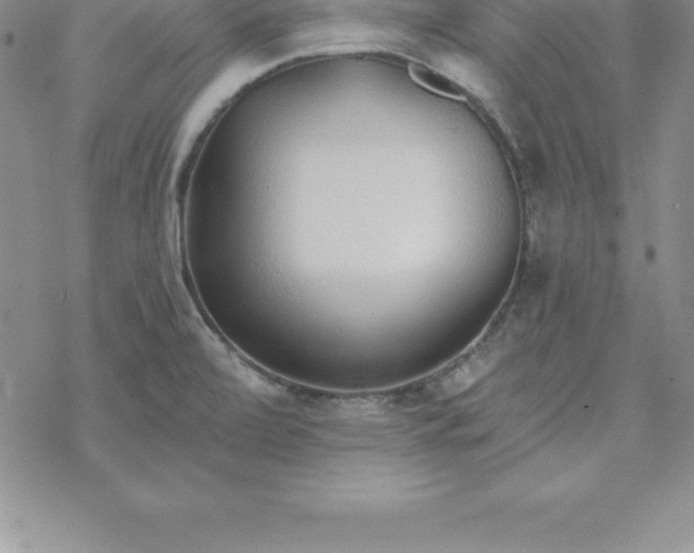 X0000069841472200606021349