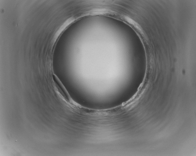 X0000069841473200606021349