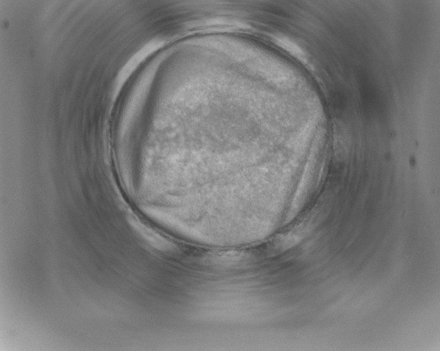 X0000069841474200606021349