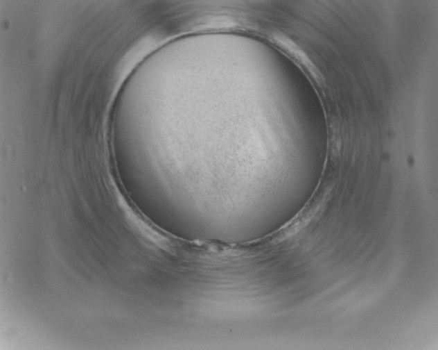 X0000069841475200606021349