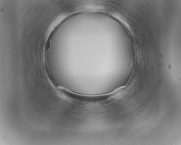 X0000069841477200606021349