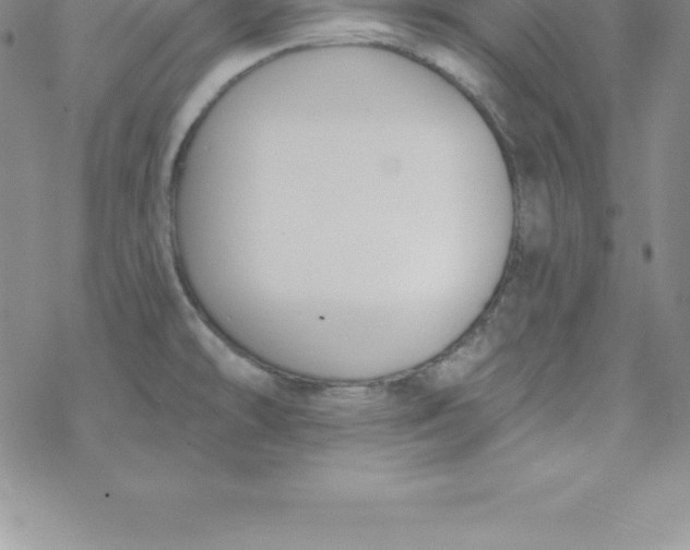 X0000069841478200606021349